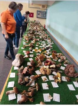 Ježkarjada in 30. obletnica društva